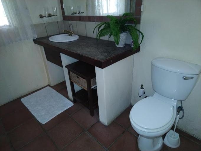 Bed and Breakfast Buona Notte Johannesburg Zewnętrze zdjęcie