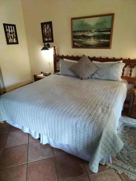 Bed and Breakfast Buona Notte Johannesburg Zewnętrze zdjęcie